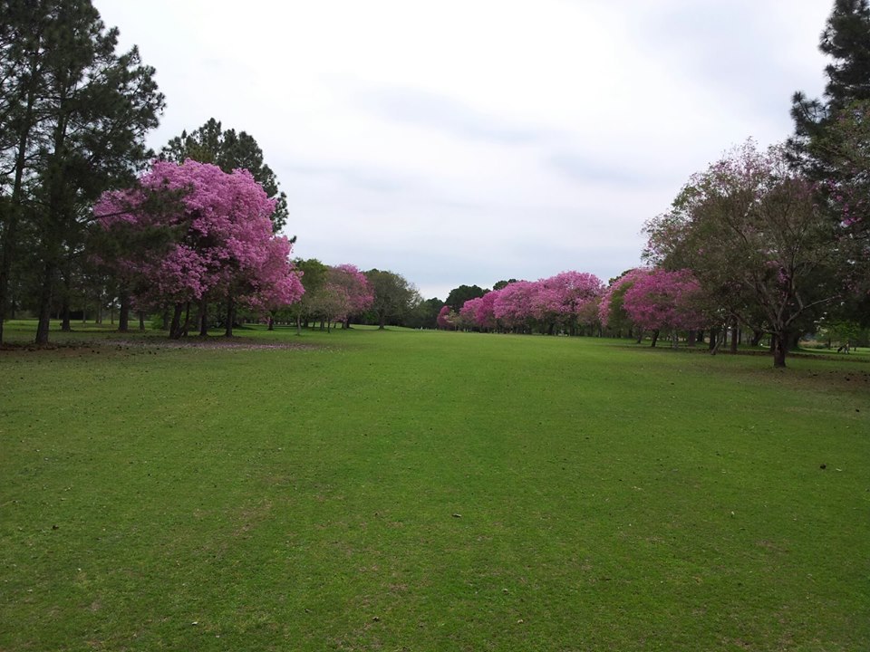 Golf Club Corrientes