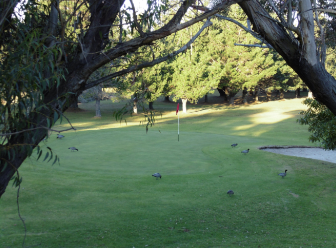 Boomerang Public Golf Course