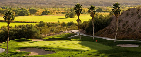 Palms Golf Club