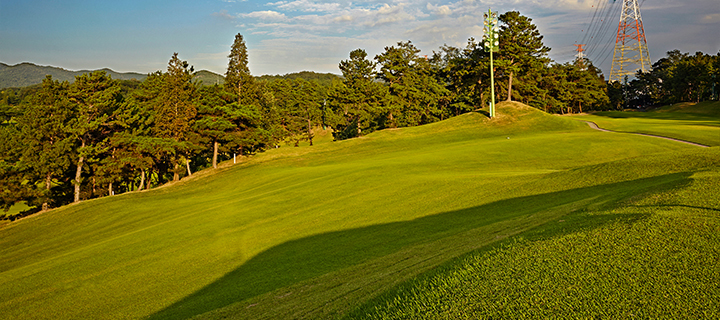 J's Country Club