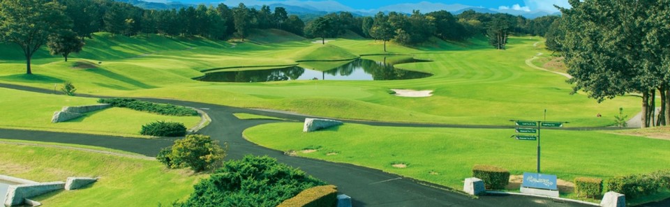 Golf Club Twin Fields (Gold)