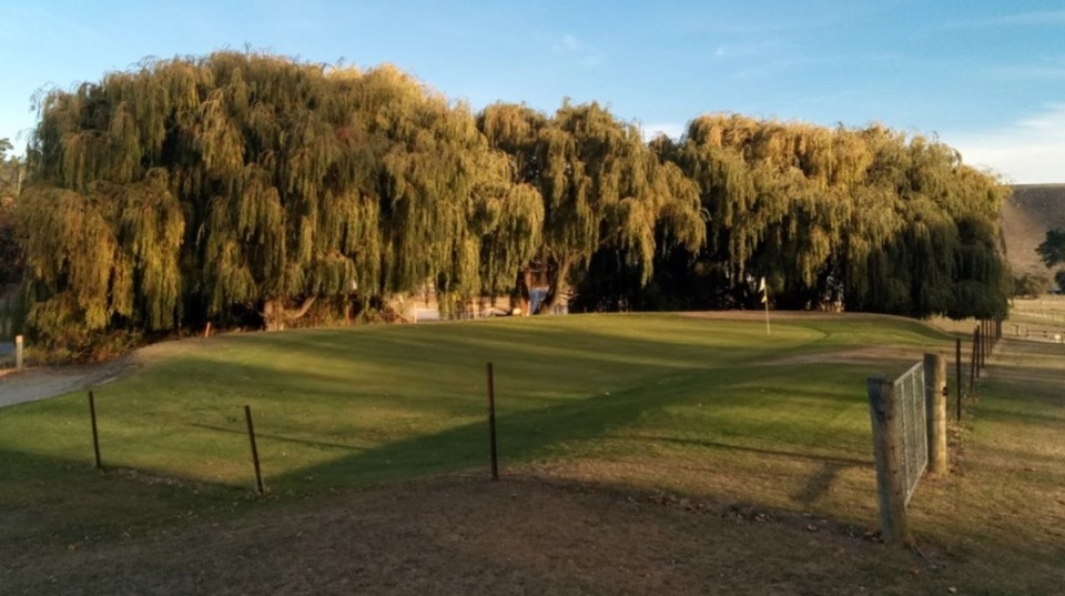 Tarras Golf Club