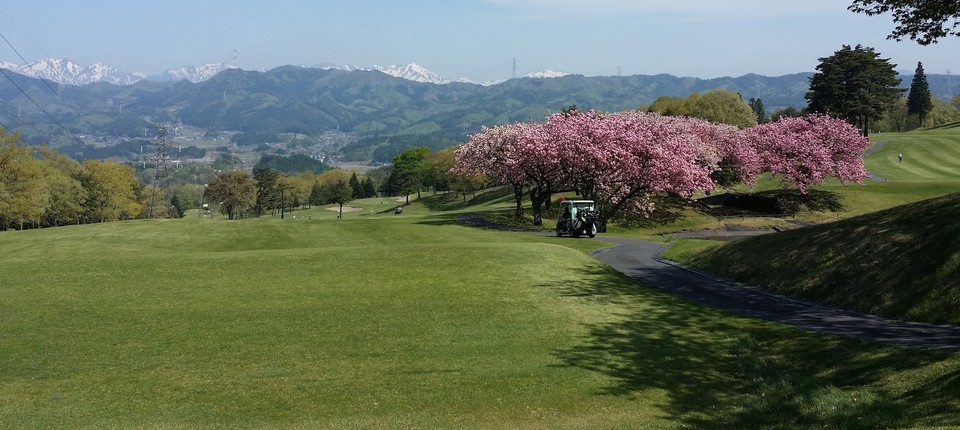 Northern Country Club Jomo