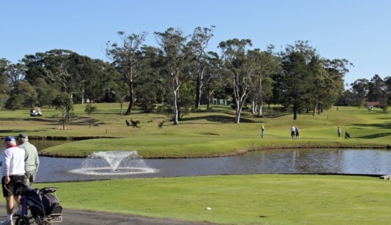 St Georges Basin Country Club