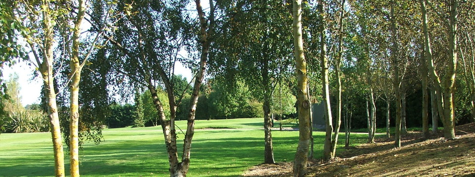 Julianstown Golf and Pitch & Putt