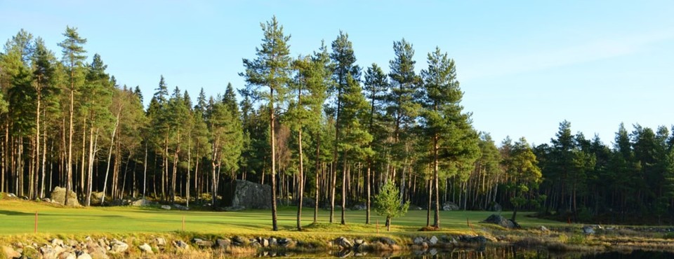 Vaasan Golf