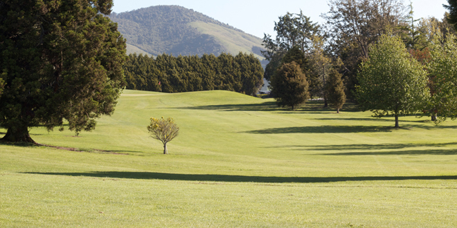 Stewart Alexander Golf Club