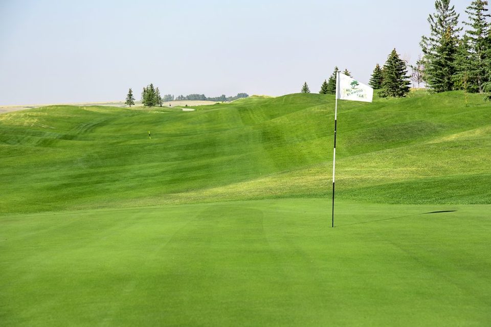 Elmwood Golf Club