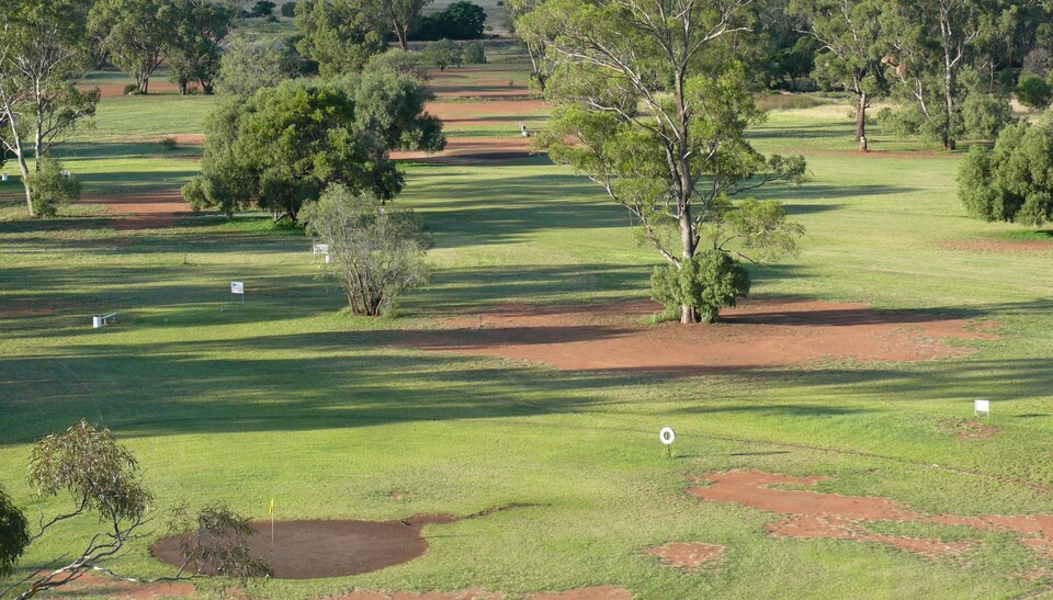 Tottenham Golf Club