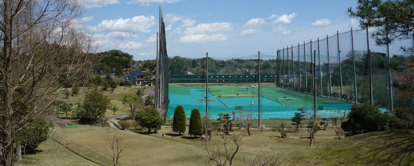 Oami Green Golf