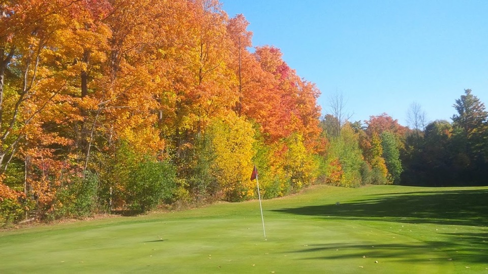 The Fox Golf Club