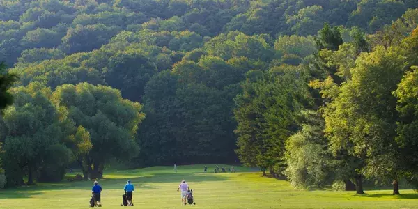 St Davids Golf Club