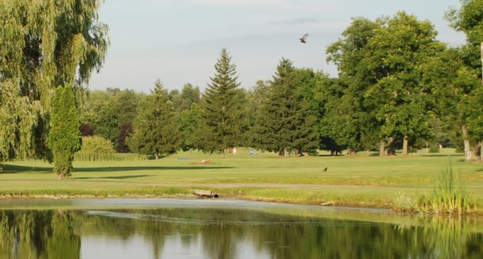 Sycamore Golf Club