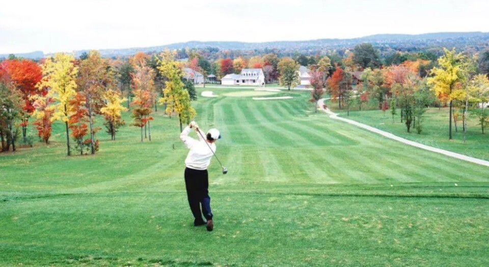 The Woods Resort (Mountain View)
