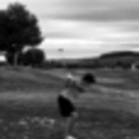 Rodrigo Delgado Pintado