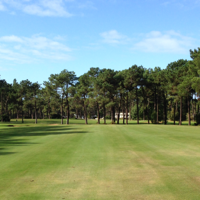 Pedro Freitas Oliveira