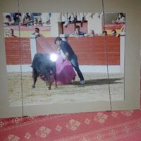 domingo iglesias vicente