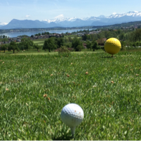 Guenther Silberbauer