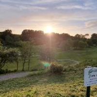 Ingrid van der Wijst