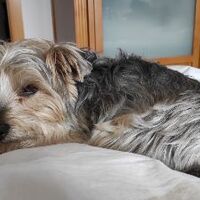 JUAN CARLOS BLANCO VIÑUELA