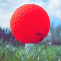 T4M - Time For Meaning