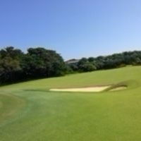 Gabriellos Amarillos