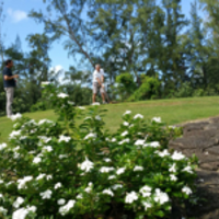 Juan Antonio Bule Arbiol