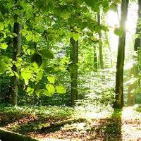 SANTIAGO DE GREGORIO