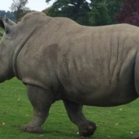 jonathan Oxley-webbe