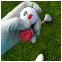 edmundo javier plauchu