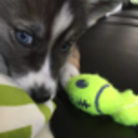 Kat Campagna LeBlanc