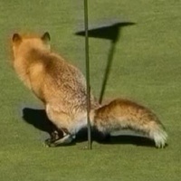 Joaquim Duarte Silva