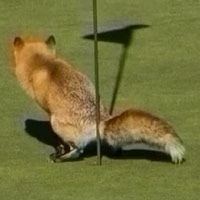 Joaquim Duarte Silva