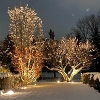 Alberto Bernardinello