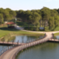 Claudia Diefenbacher