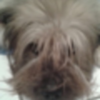 friedrich weltersbach