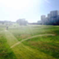 Vasco Nunes da Silva