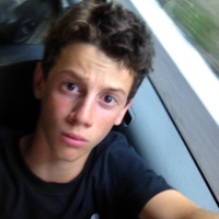 Francesco Bergamaschi