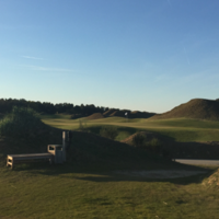 Nico van Scherpenzeel