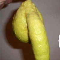 Christofer Akerstrom