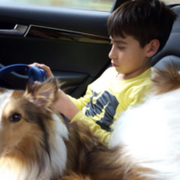 Jose Raul Pineda Ramirez