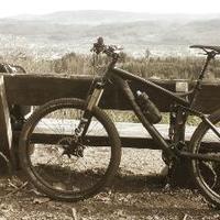 Johannes Winkelstraeter