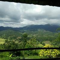 อัจชาญา คงกำเหนิด