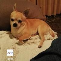 Chema Alvarez de Luna