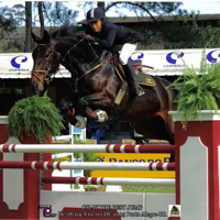 Cristina Marques Brambilla