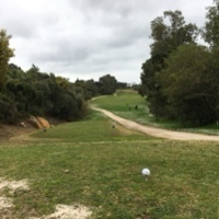 Manel Ricciardi Gomes