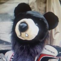 Julio Alejandrez piñuela