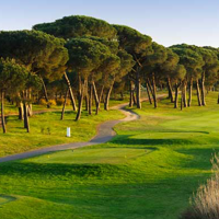 Frank Scholten Scholten