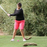 Isabel Clarisse Rodrigues