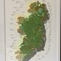 Seamus Ryan